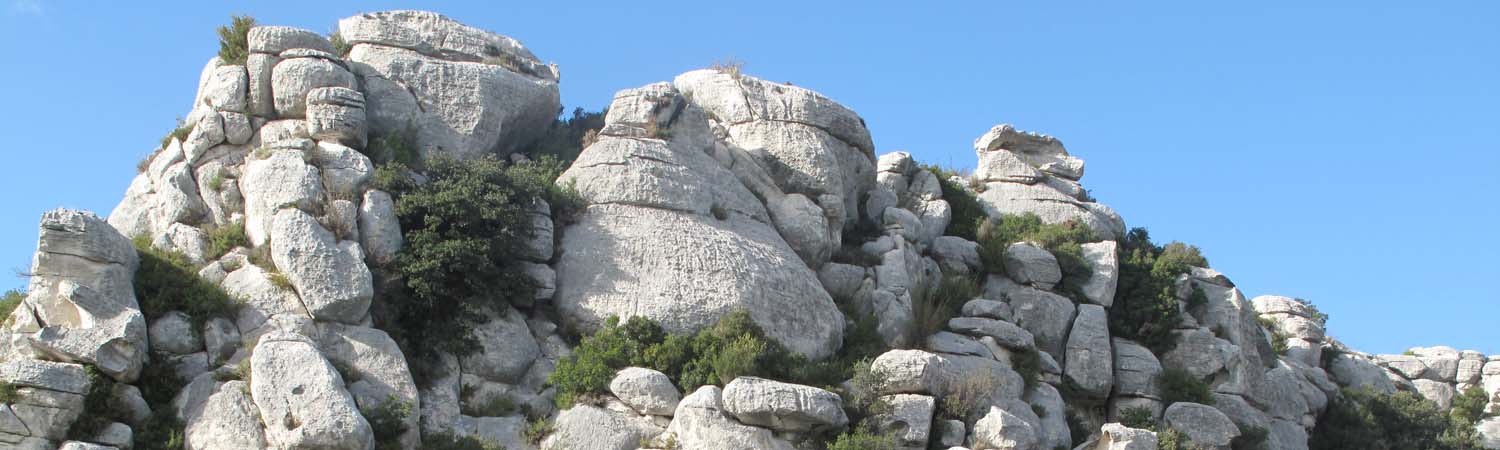 Les Baux de Provence : les Baux de Provence