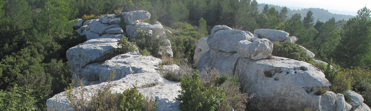 Les Baux de Provence : les Baux de Provence